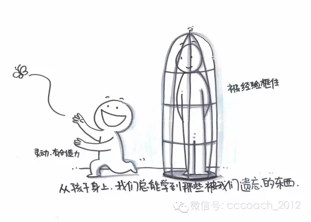 教练式父母 教练式父母