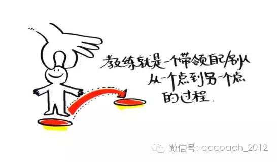 什么是教练? 什么是教练?