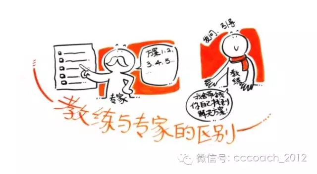 教练与专家的区别 教练与专家的区别
