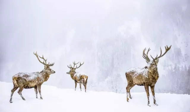 1501228371627955.png QQ图片20170728153623.png