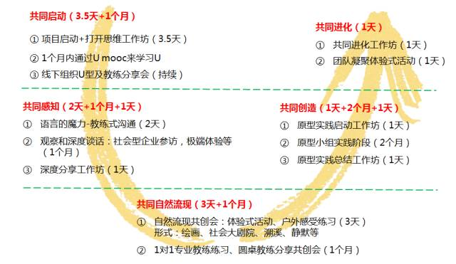 U型理论 U型理论